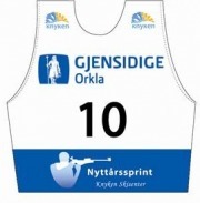 gjensidige 19