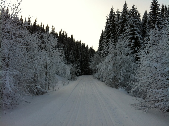 Knyken_311211_011.jpg