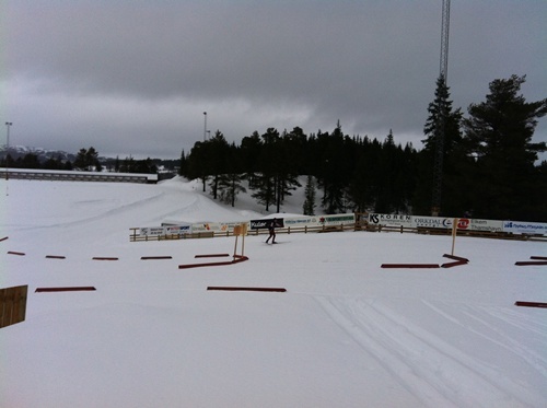 ST_Cup_150112_014.jpg