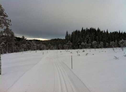 Knykmarka_101112_02.JPG