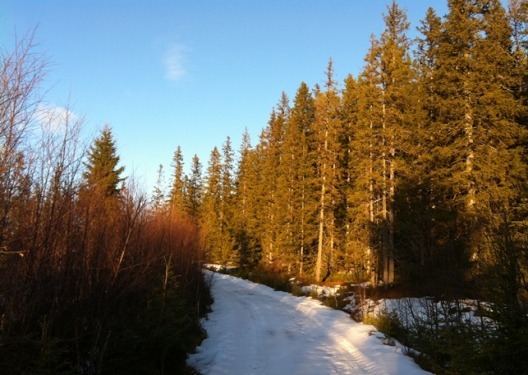 Knyken_241112_004.jpg