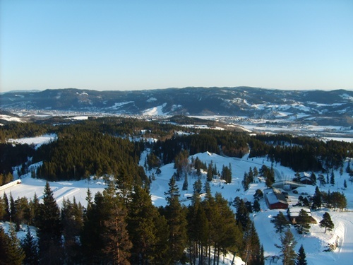 S5000446.JPG
