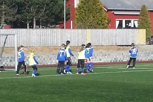 Orkdal_J11_Glimt_300413_03.JPG