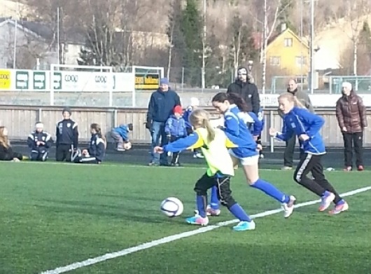 Orkdal_J11_Glimt_300413_02.JPG