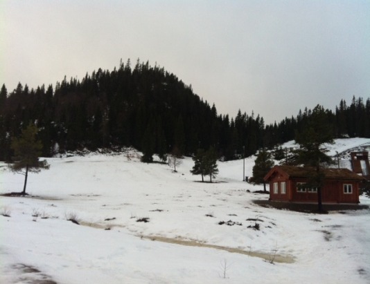 Knyken_060113_02.JPG