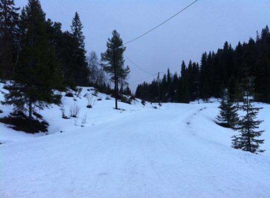 Knyken_060113_05.JPG