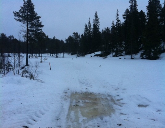 Knyken_060113_01.JPG