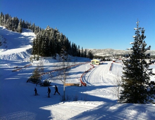 Knyken_190213_003.jpg