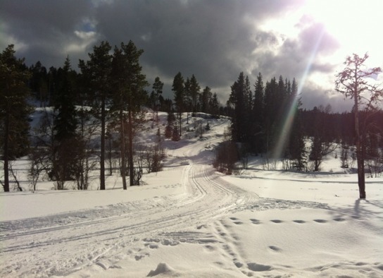 Knykmarka_280313_007.jpg