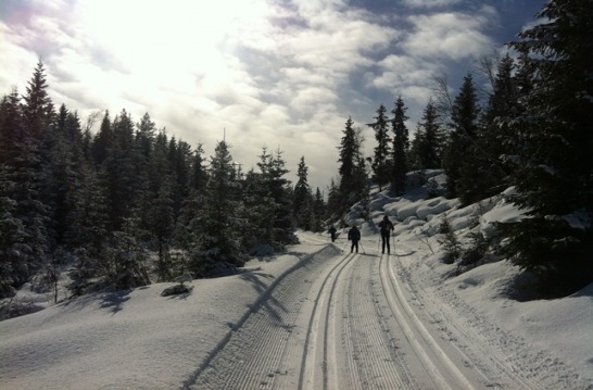 Knykmarka_280313_002.jpg