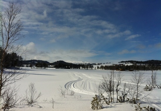 Knykmarka_280313_004.jpg
