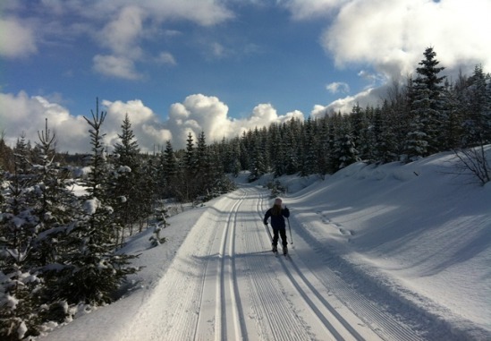 Knykmarka_280313_005.jpg