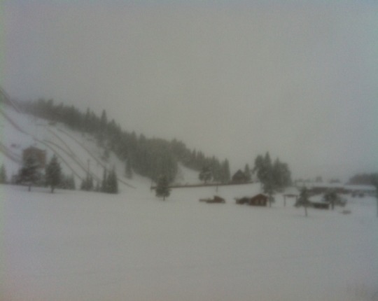 Knyken_030313.JPG