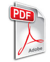 Icon pdf