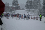 IMG-2771.jpg