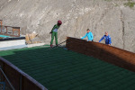 IMG-11.jpg