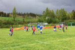 IMG-7140.JPG