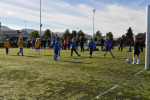 DSC-0487.jpg