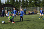 DSC-0509.jpg