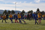DSC-0550.jpg