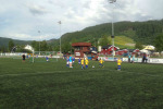 IMG-0381.jpg