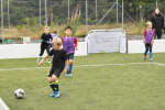 DSC-0833.JPG
