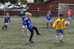 IMG-6078.jpg