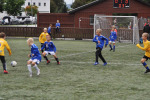 IMG-6079.jpg