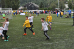 IMG-6133.jpg