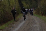 IMG-0105.jpg