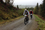 IMG-0113.jpg