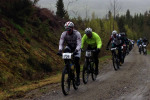 IMG-0117.jpg
