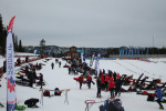222-SB1-KM-normal-222.JPG