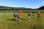 Skaun-Cup-2013-021.jpg