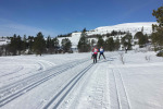 IMG-8637.jpg