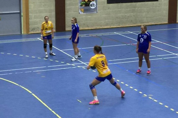 Handball 2015