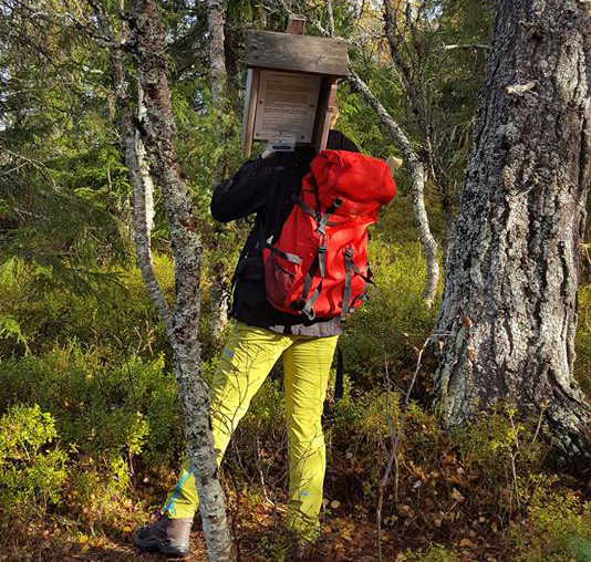 Kjentannsmerket Andolsetra