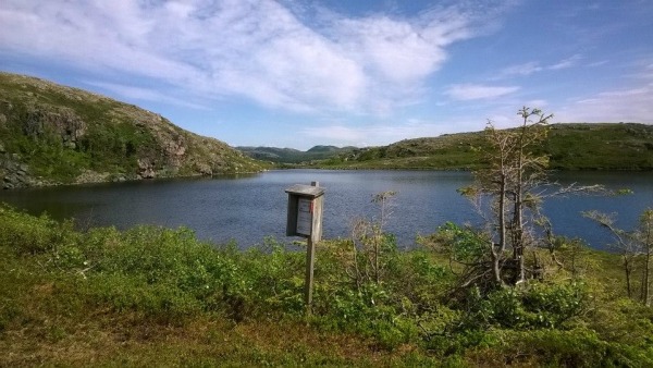 Klokkartjonna