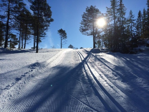 Orkdal IL 2016 005