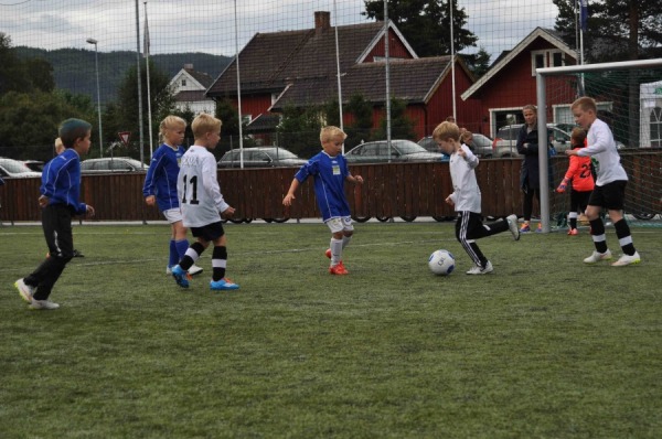Orkdalscupen