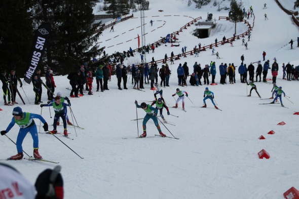 Tdk 2019