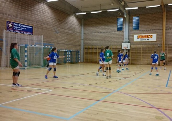 J16 Hemne 021114 02