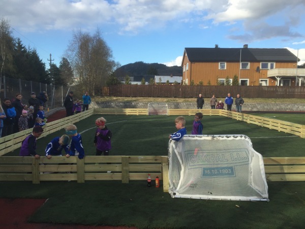 Fotball liten bane 02