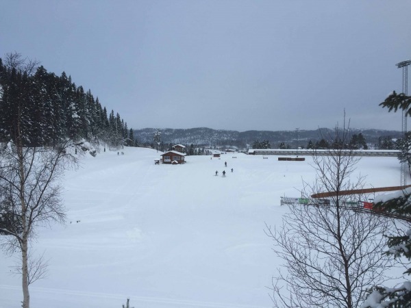 IMG 7813