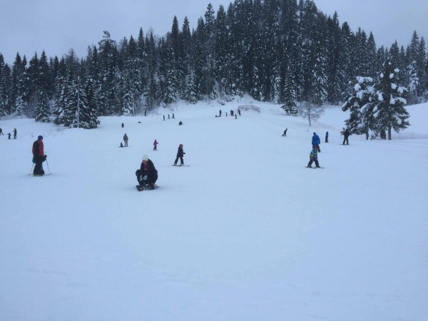 IMG 7818