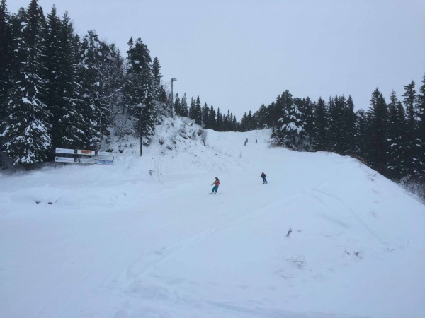 IMG 7831