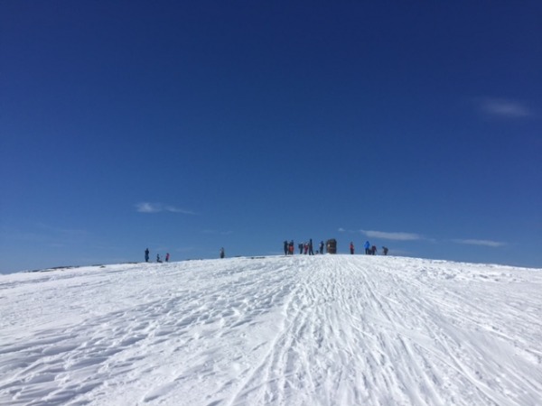 Sovass 2016 02