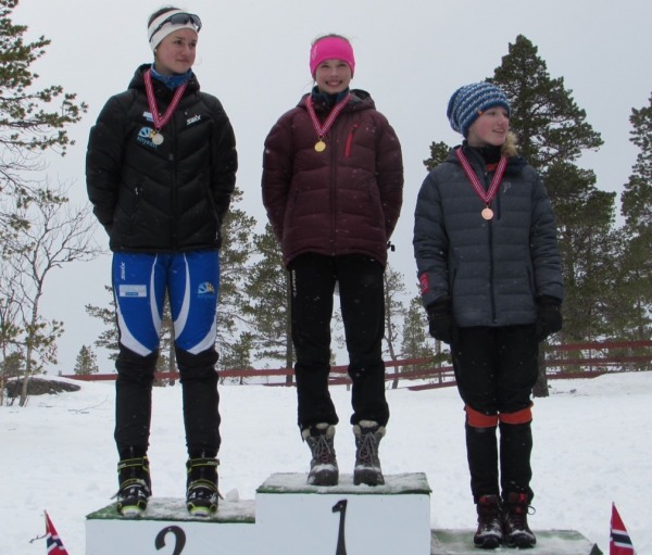 pall j14 frol
