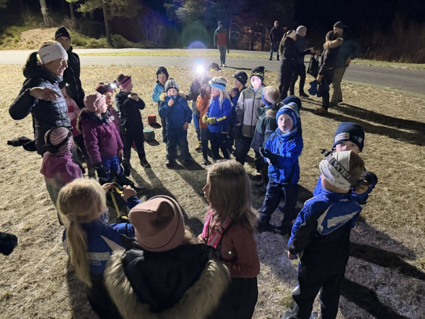 Skitrening host 2025 1