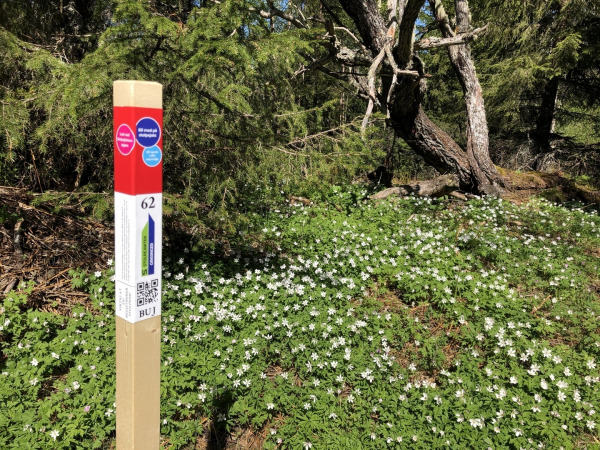 Stolpejakten